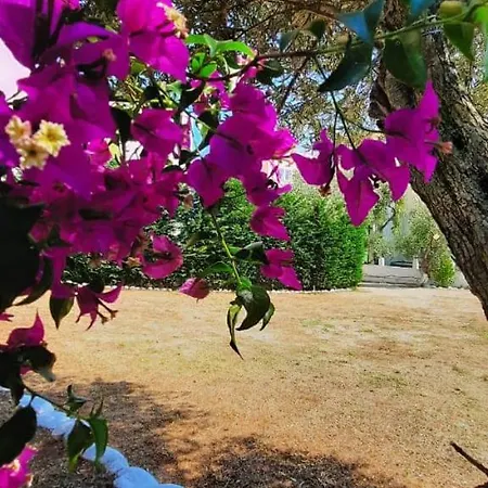 Drymades Mare Blue Отель Дхерми